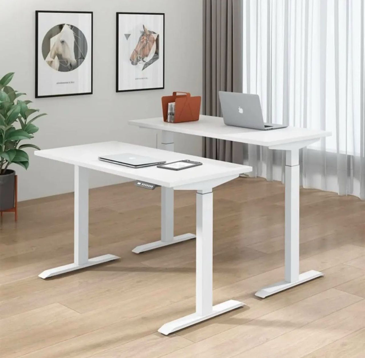 120cm Electric Height Adjustable Desk